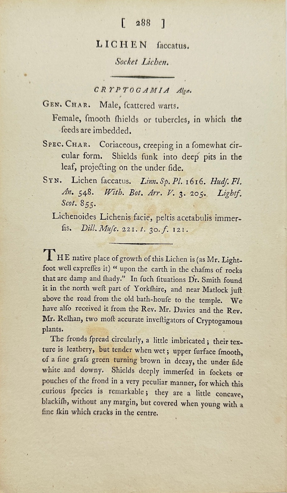 Antique Botanical Print - James Sowerby - Lichen Faccatus - Socket Lichen - F1