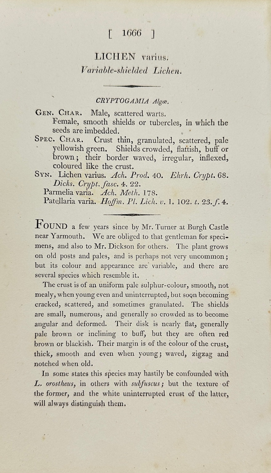 Antique Botanical Print - James Sowerby - Lichen Varius - Varied Lichen - F1