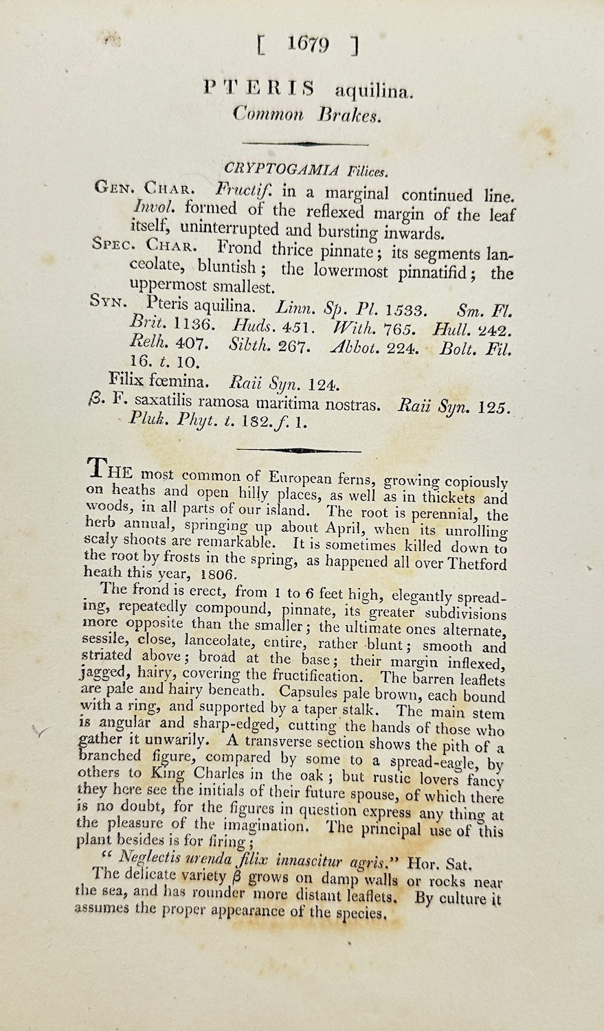 Antique Botanical Print - James Sowerby - Pteris Aquilina - Bracken - F1
