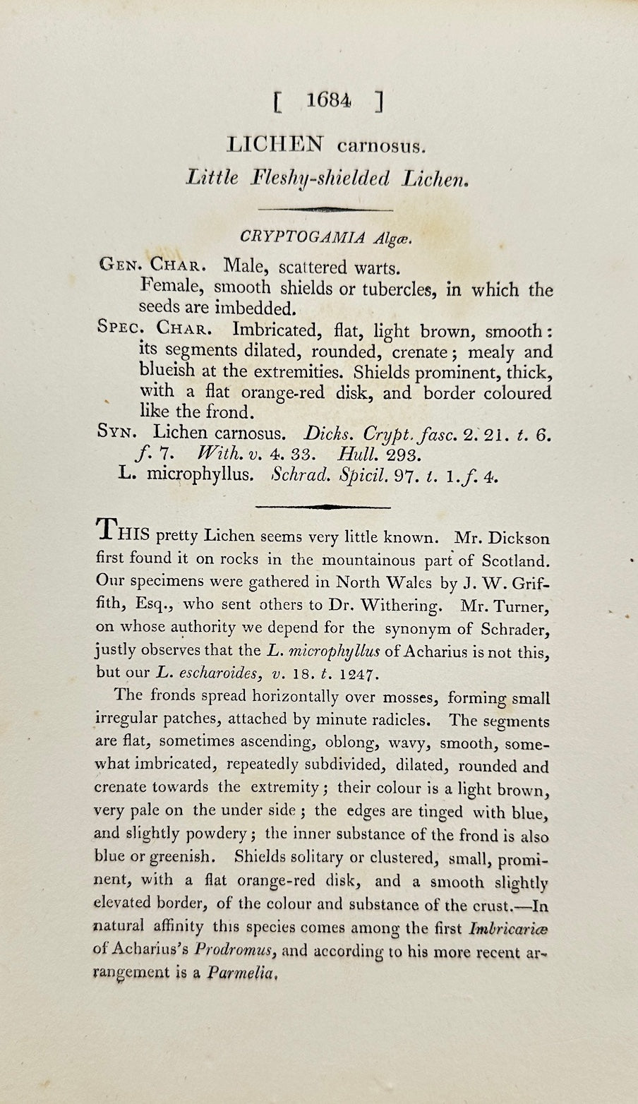 Antique Botanical Print - James Sowerby - Lichen Carnosus - Fleshy Lichen - F1
