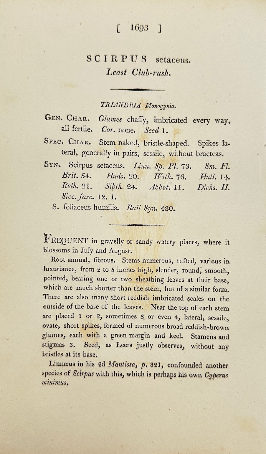 Antique Print - James Sowerby - Scirpus Setaceus - Bristle Bulrush - F1