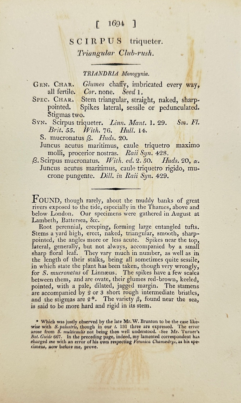 Antique Print - James Sowerby - Scirpus Triqueter - Triangular Club-rush - F1