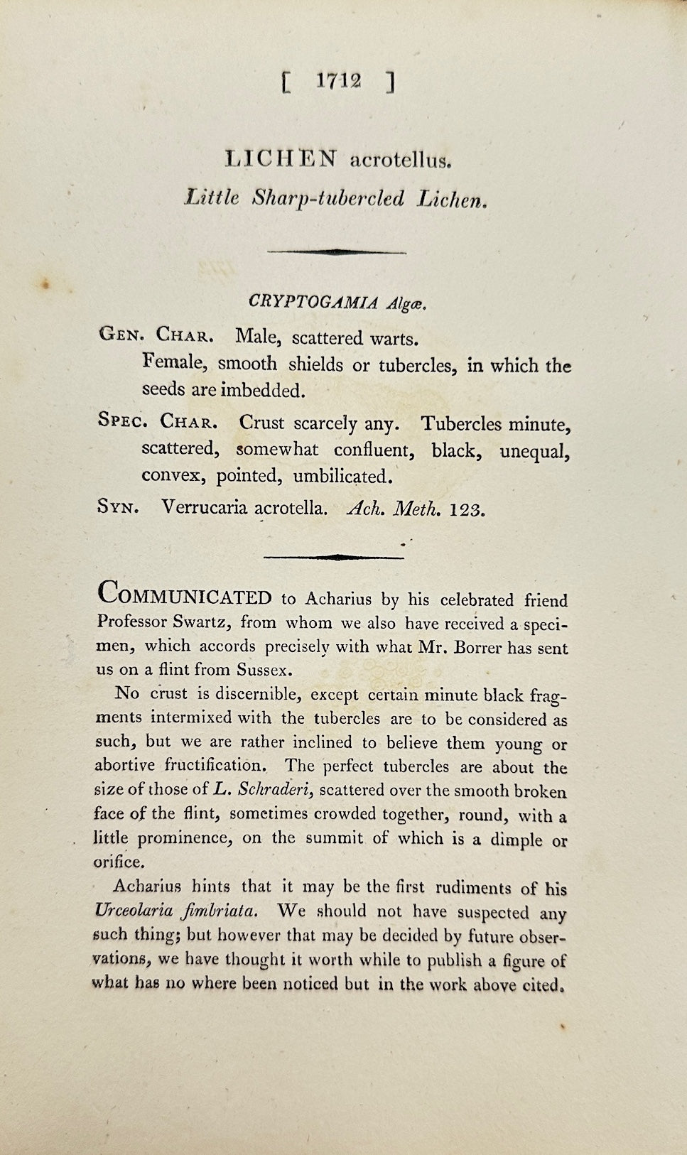 Antique Print - James Sowerby - Lichen Coarctatus - Coarctate Lichen - F1