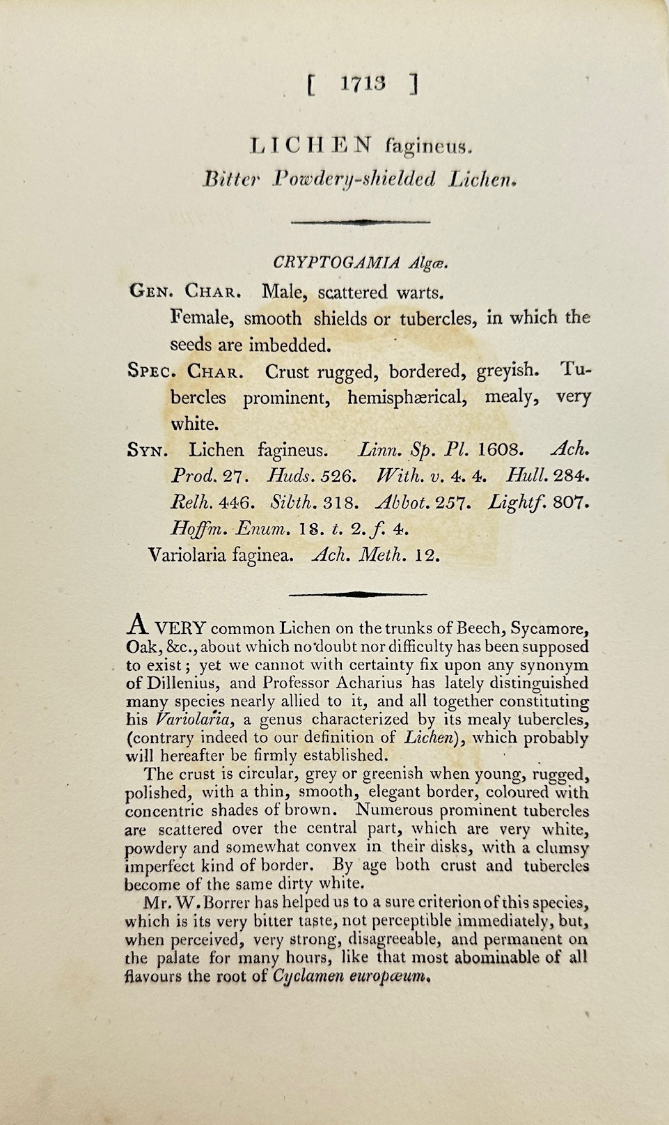 Antique Botanical Print - James Sowerby - Lichen Fagineus - Beech Lichen - F1