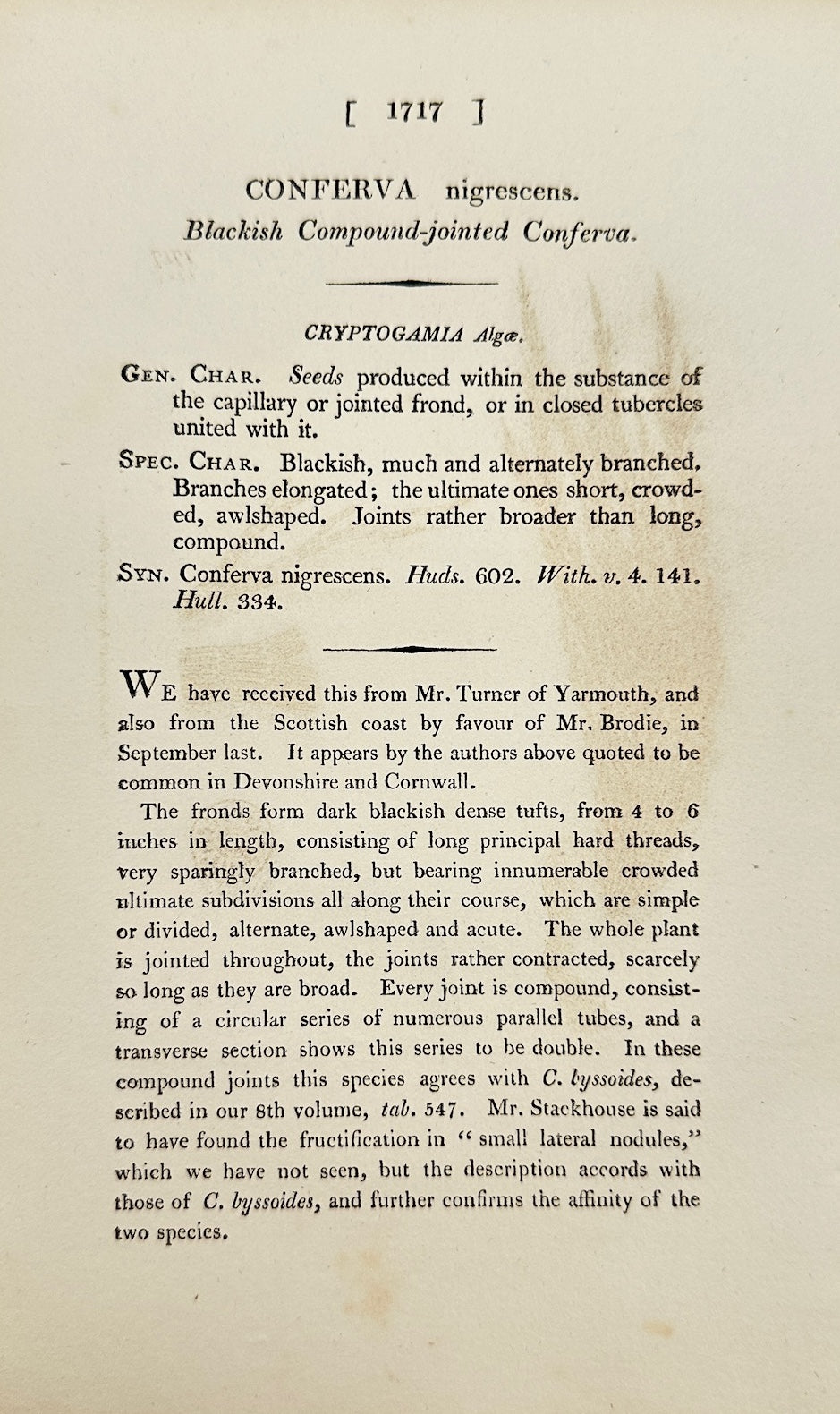 Antique Print - James Sowerby - Conferva Nigrescens - Blackening Conferva - F1