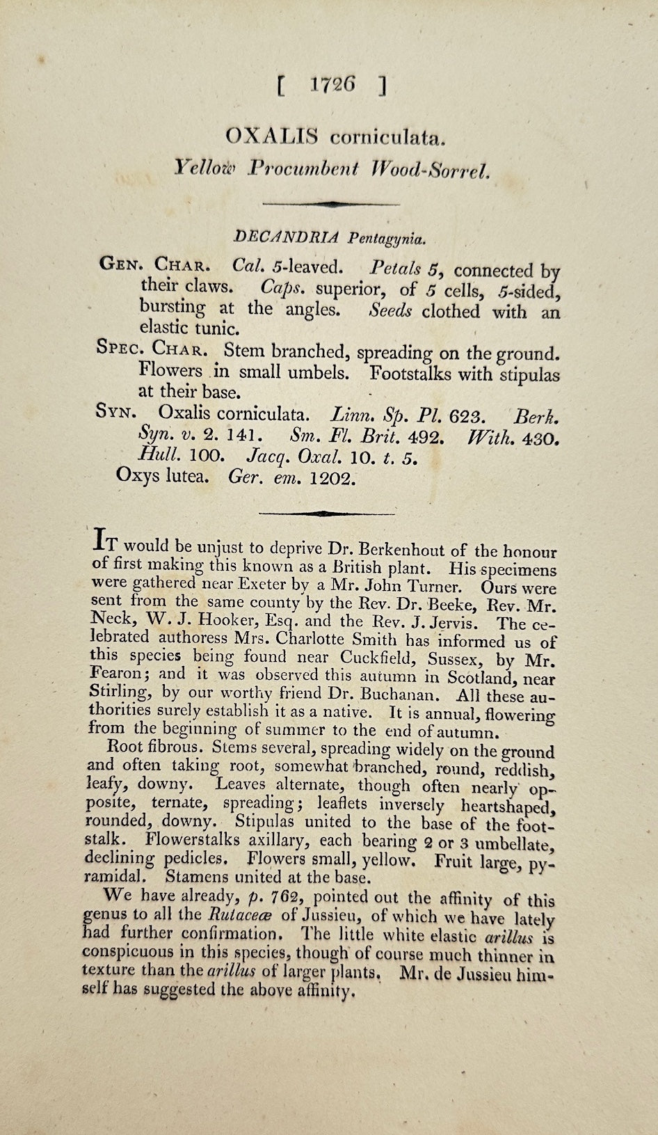 Antique Print - James Sowerby - Oxalis Corniculata - Creeping Wood Sorrel - F1