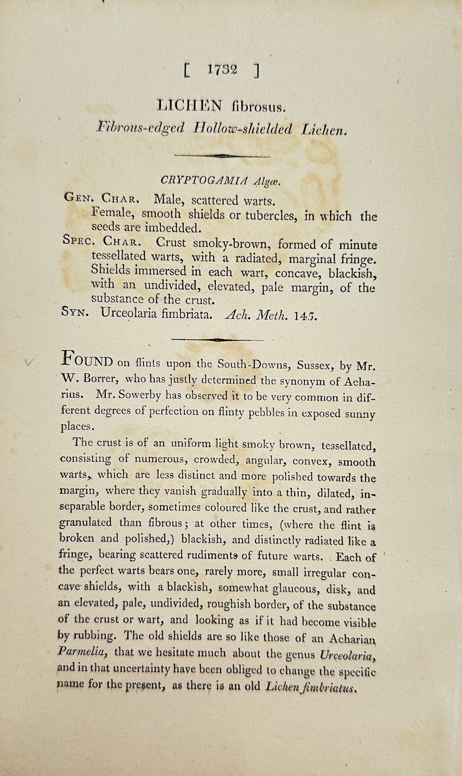 Antique Botanical Print - James Sowerby - Lichen Fibrosus - Fibrous Lichen - F1