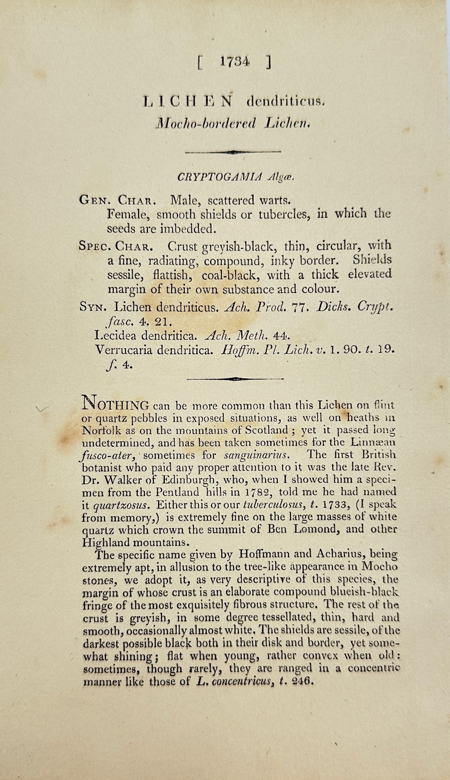 Antique Print - James Sowerby - Lichen Dendriticus - Dendritic Lichen - F1