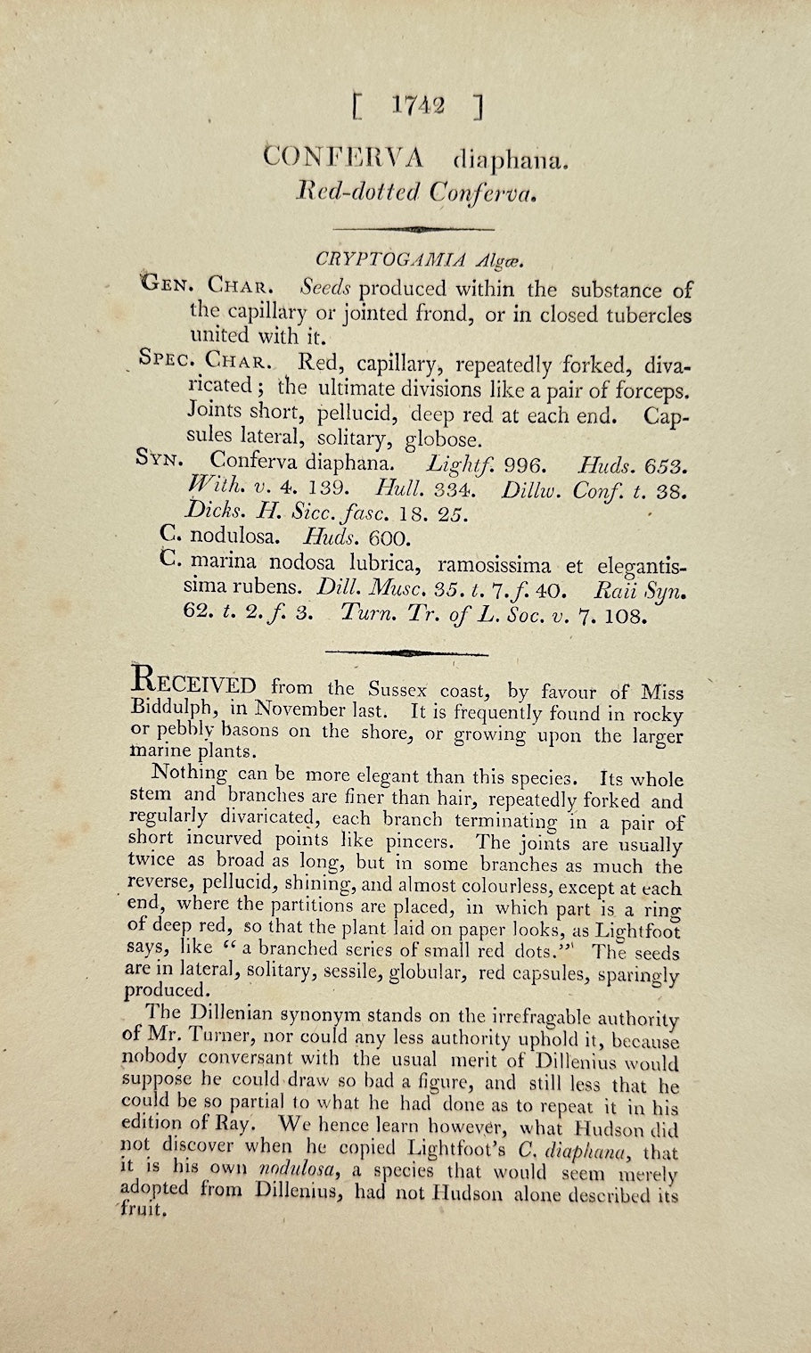 Antique Print - James Sowerby - Conferva Diaphana - Diaphanous Conferva - F1