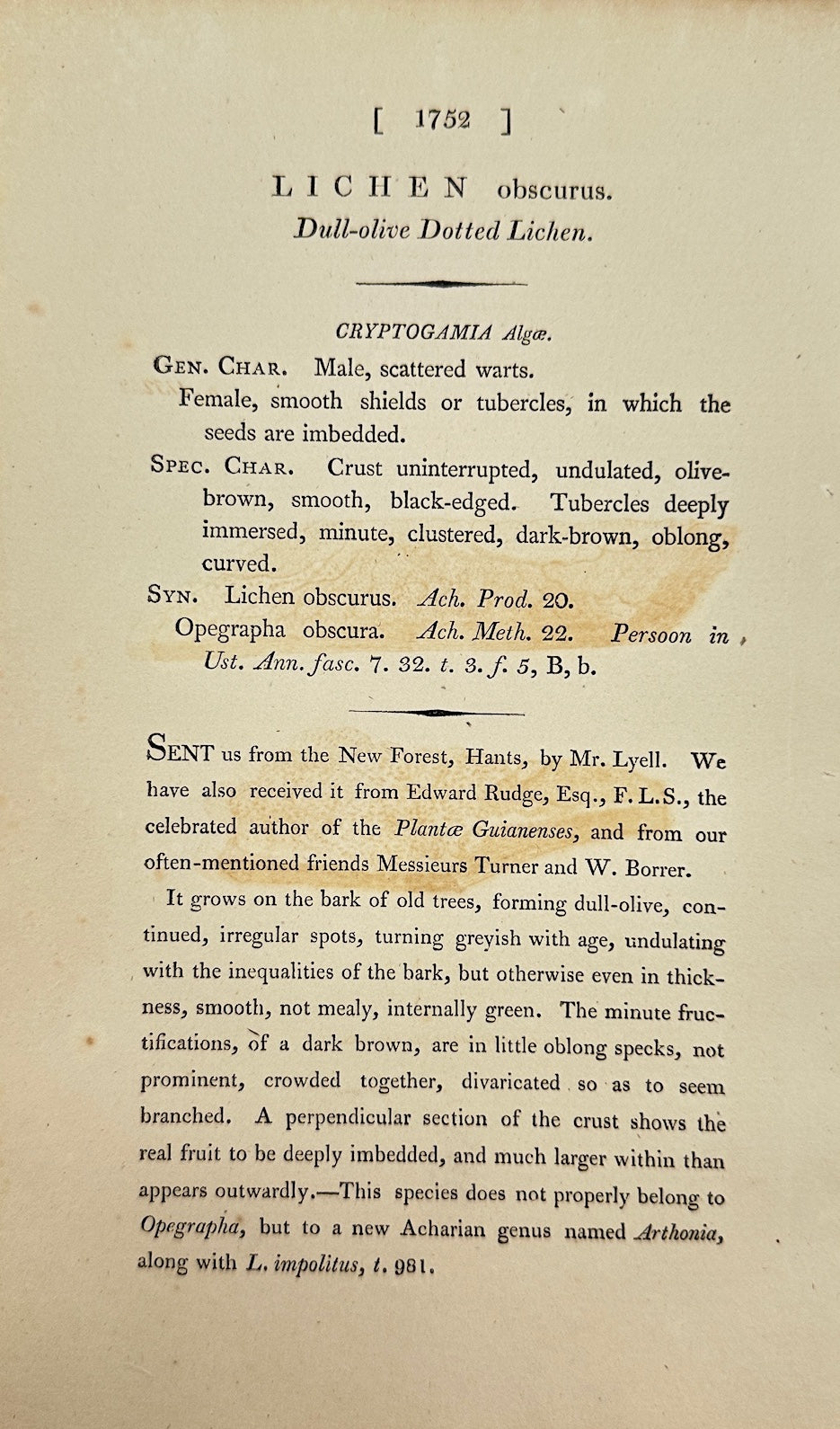 Antique Botanical Print - James Sowerby - Lichen Obscurus - Obscure Lichen - F1