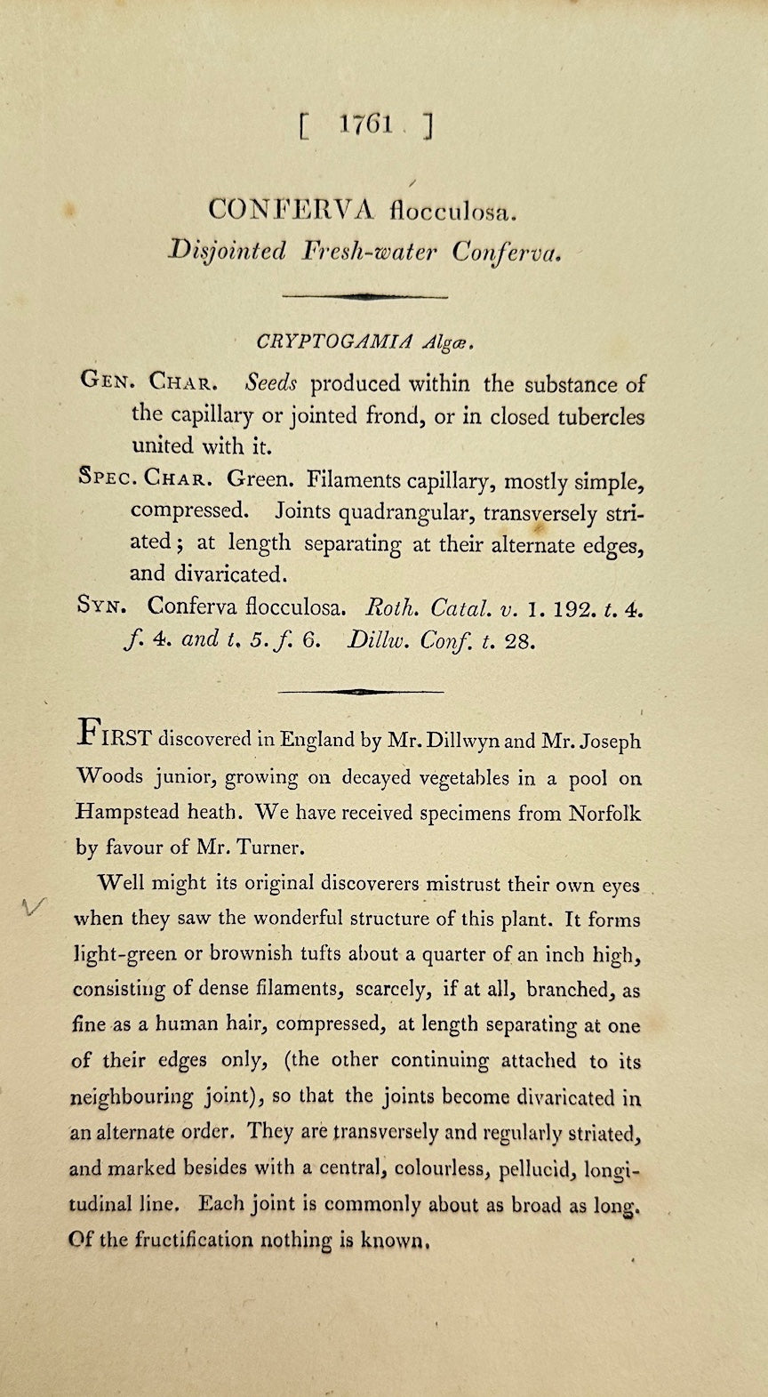 Antique Print - James Sowerby - Conferva Flocculosa - Flocculent Conferva - F1