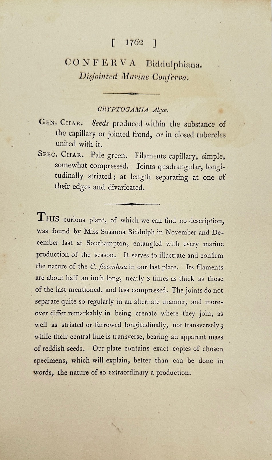 Antique Print - James Sowerby - Conferva Biddulphiana - Biddulph's Conferva - F1