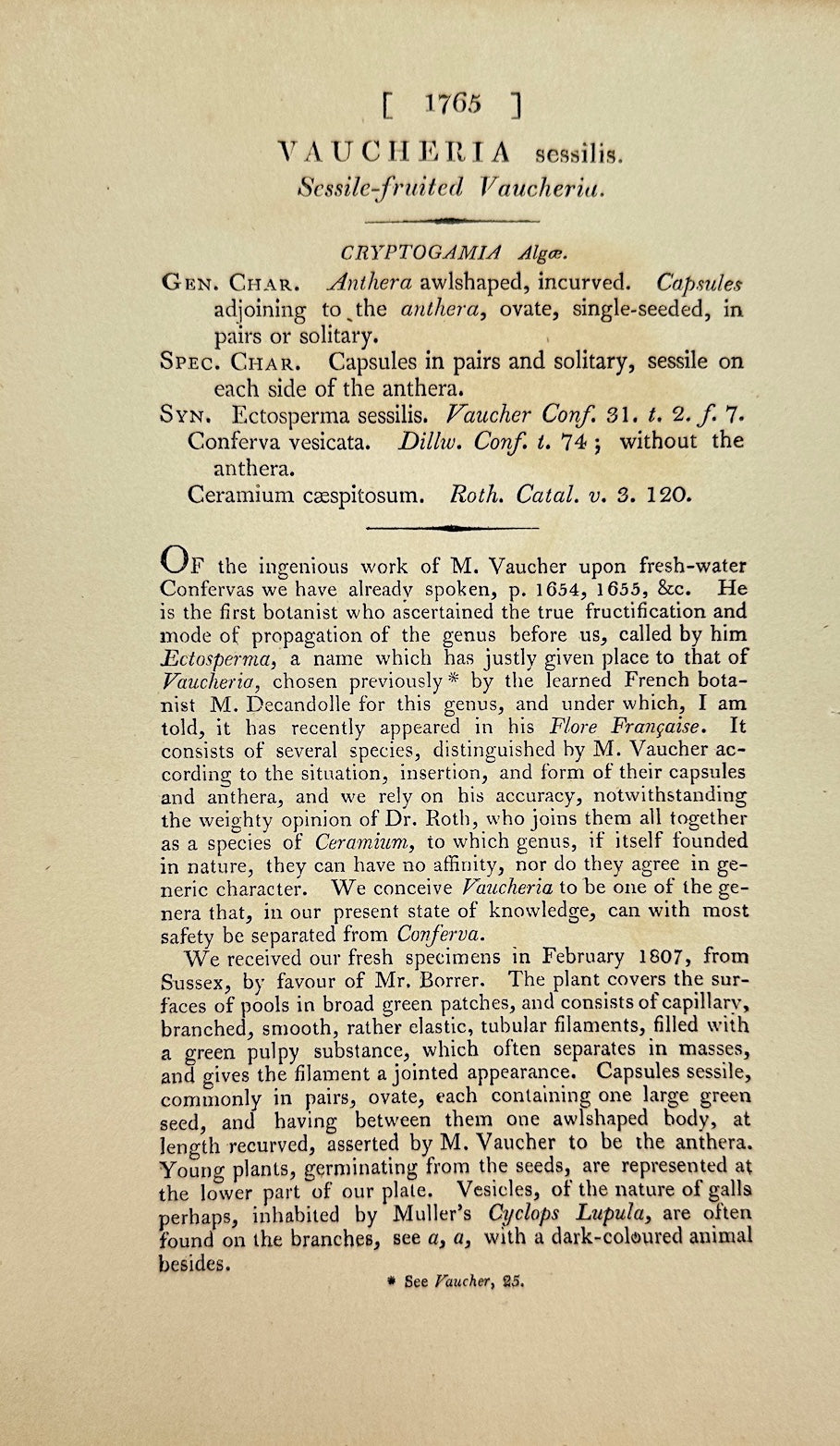 Antique Print - James Sowerby - Vaucheria Sessilis - Sessile Vaucheria - F1