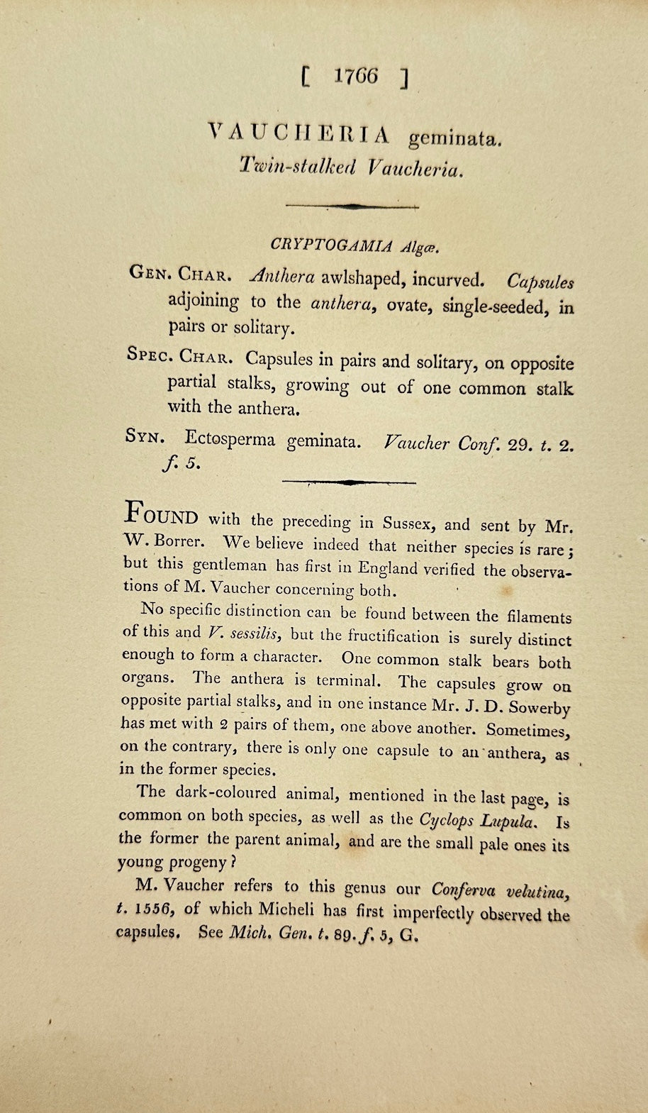 Antique Print - James Sowerby - Vaucheria Geminata - Twin Vaucheria - F1