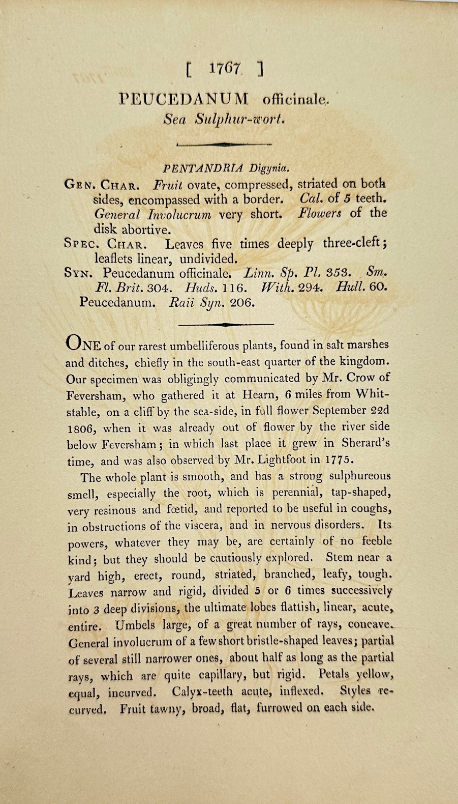 Antique Print - James Sowerby - Peucedanum Officinale - Hog's Fennel - F1