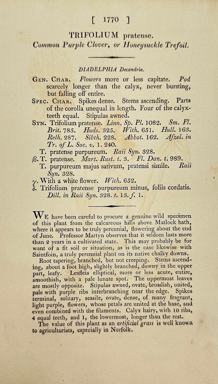 Antique Botanical Print - James Sowerby - Trifolium Pratense - Red Clover - F1