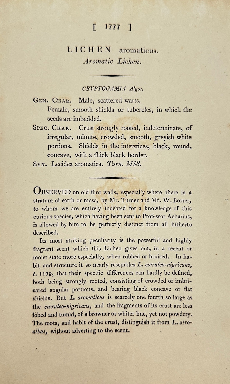 Antique Print - James Sowerby - Lichen Aromaticus - Aromatic Lichen - F1