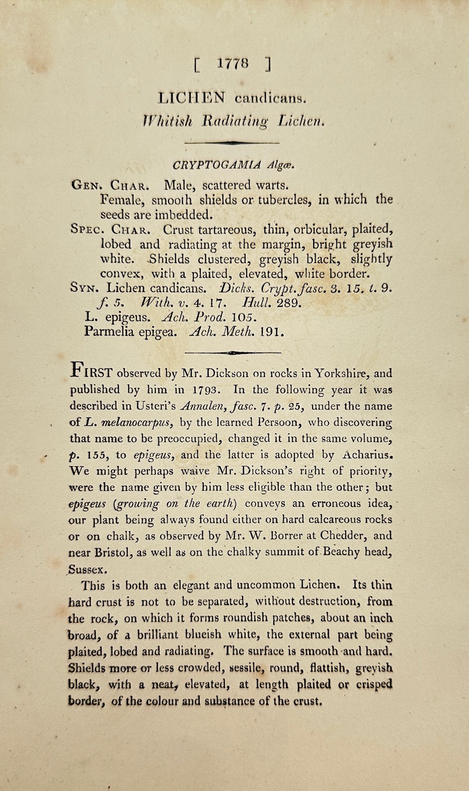 Antique Botanical Print - James Sowerby - Lichen Candicans - White Lichen - F1
