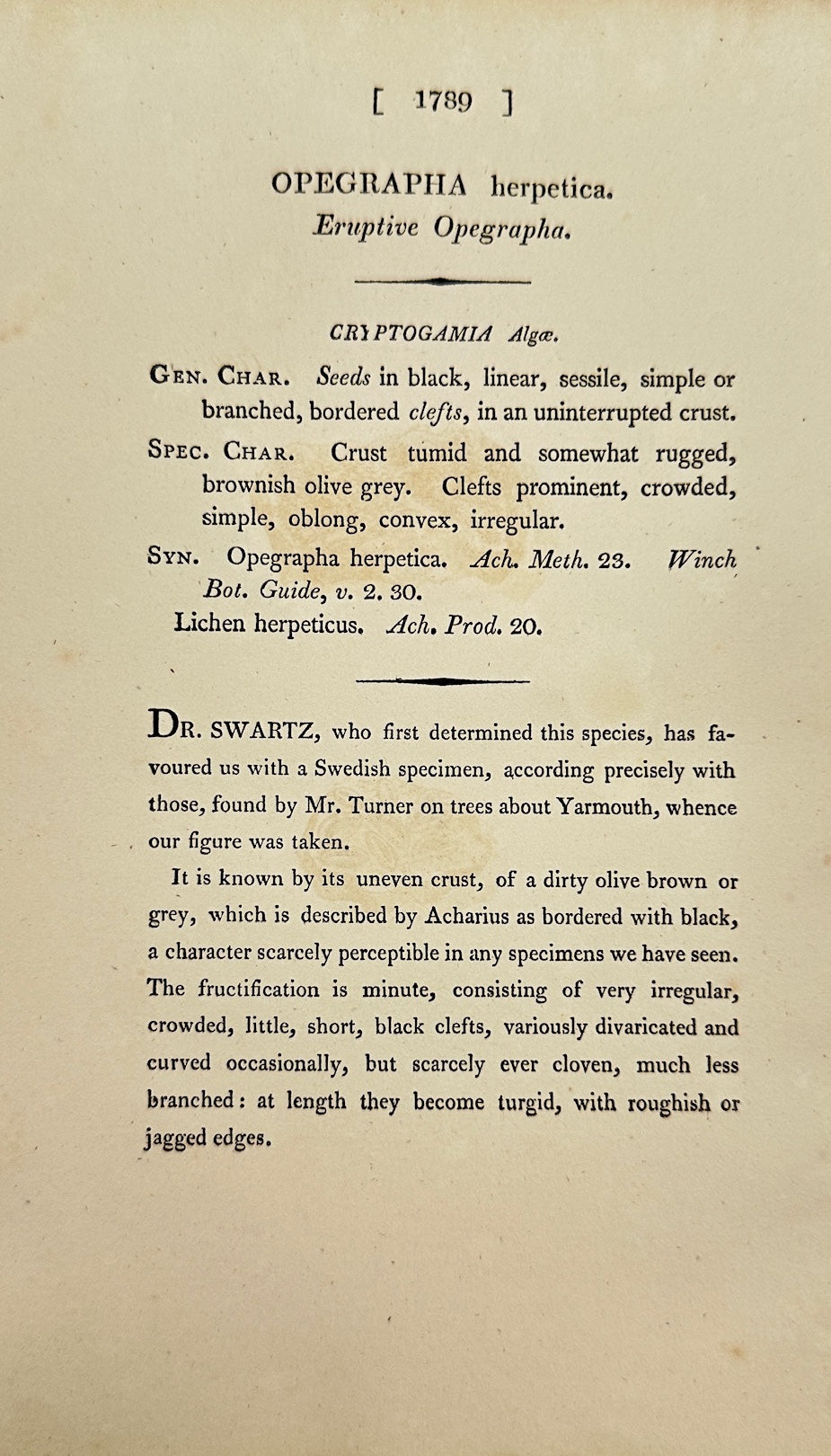 Antique Print - James Sowerby - Opegrapha Herpetica - Herpetic Opegrapha - F1