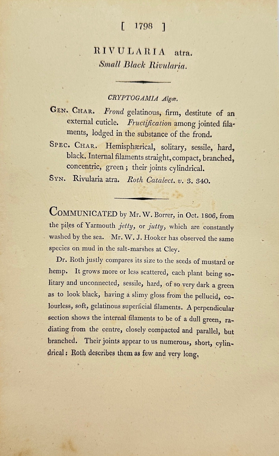 Antique Botanical Print - James Sowerby - Rivularia Atra - Black Rivularia - F1