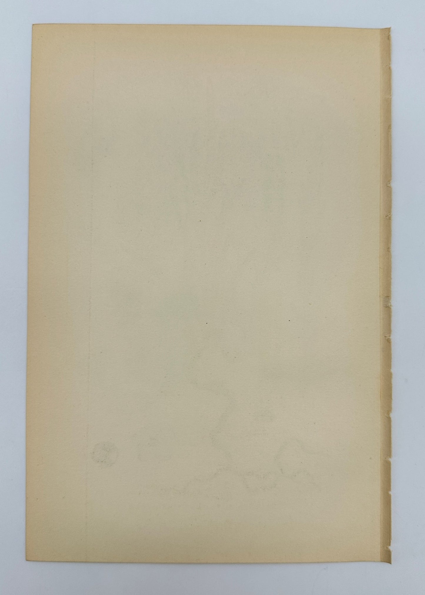 Original Antique Print - Carl Lindman - Sea Blite - Suaeda Maritima - F4