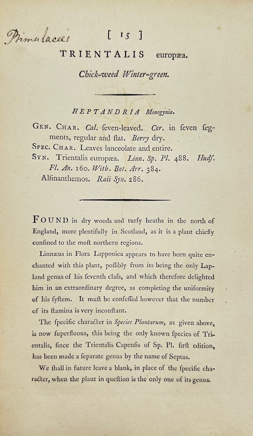 Antique Botanical Print - James Sowerby - Trientalis Europaea - Starflower - F1