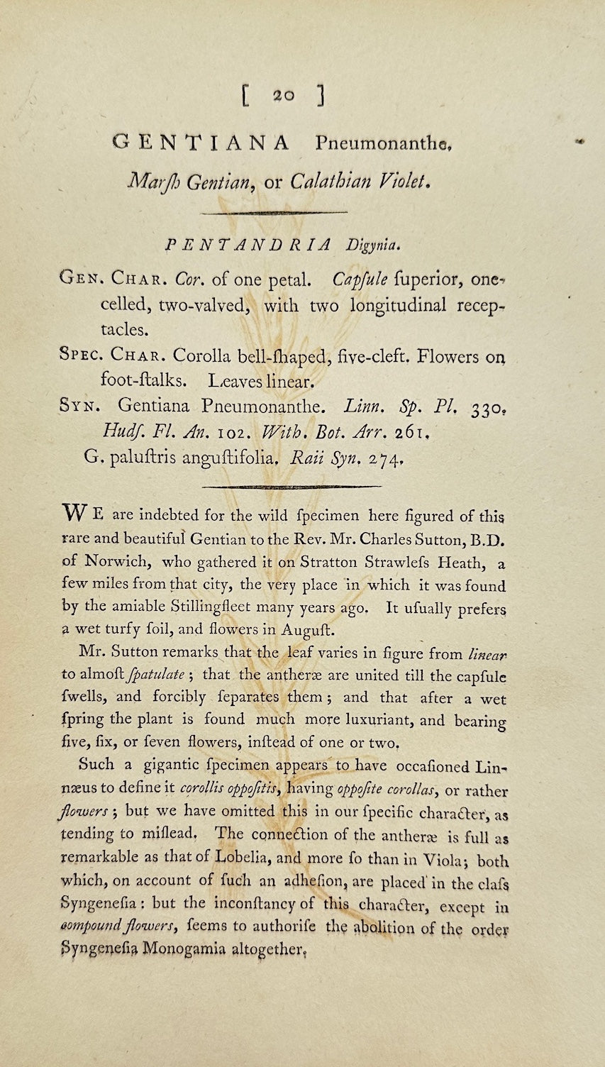 Antique Print - James Sowerby - Gentiana Pneumonanthe - Marsh Gentian - F1