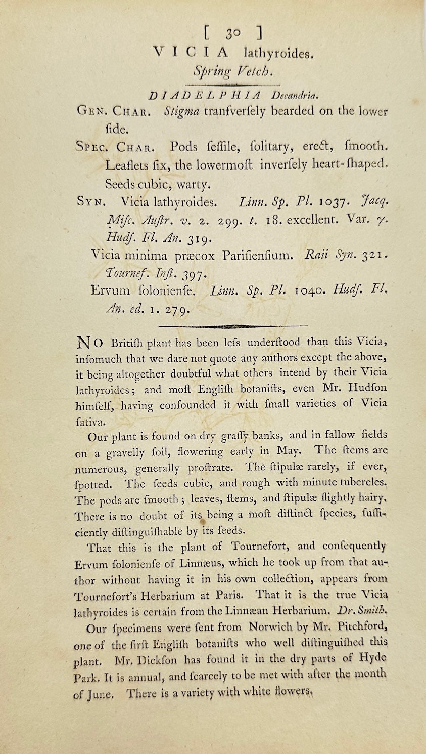 Antique Print - James Sowerby - Vicia Lathyroides - Lathyrus Vetch - F1