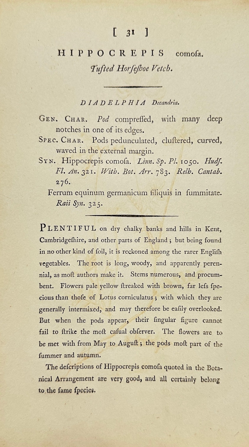 Antique Print - James Sowerby - Hippocrepis Comosa - Eggleaf Vetchling - F1