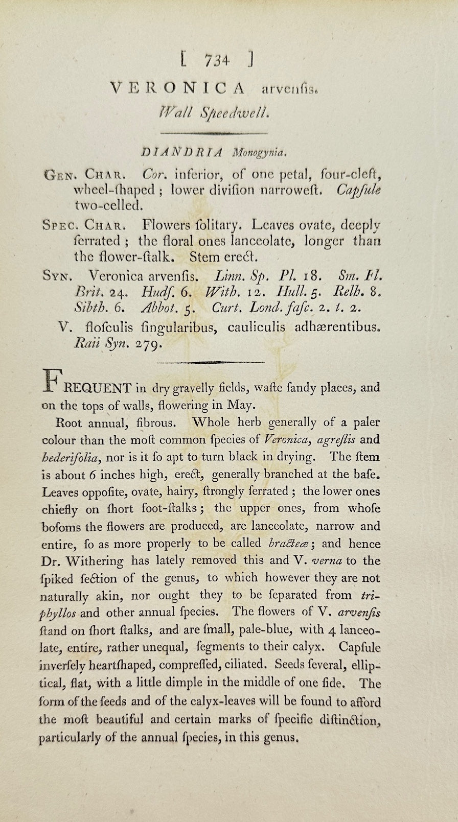 Antique Print - James Sowerby - Veronica Arvensis - Field Speedwell - F1