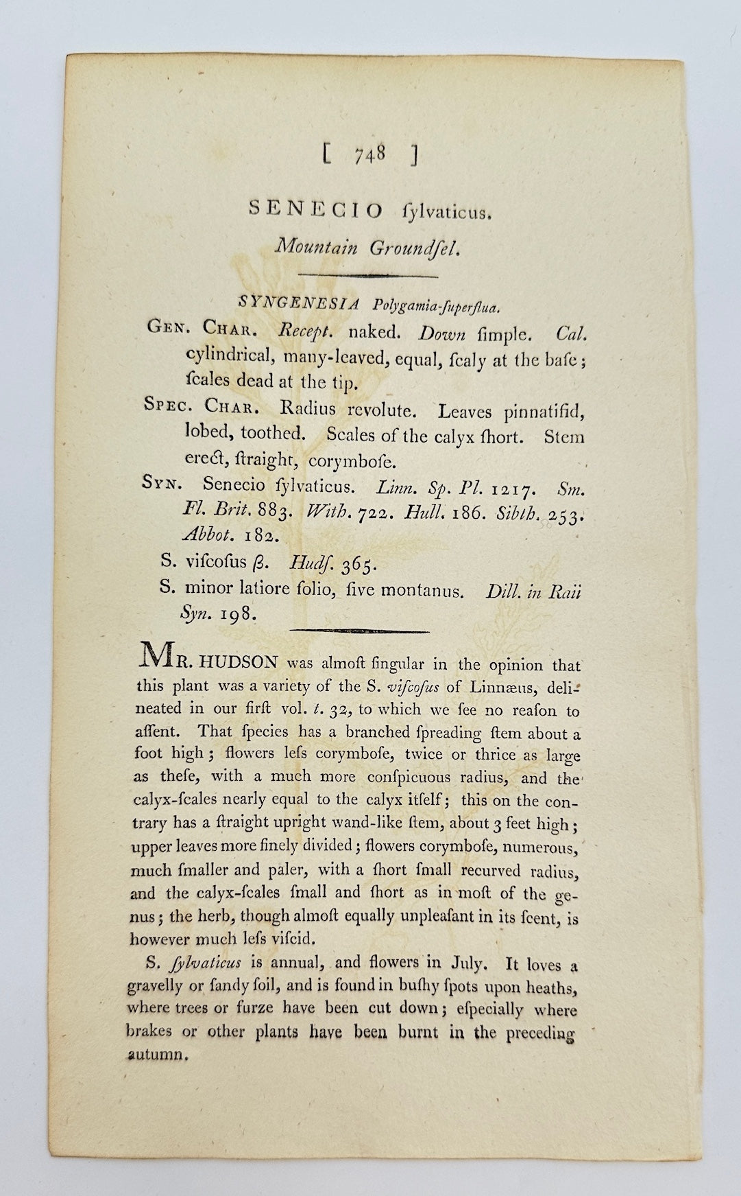 Antique Print - James Sowerby - Senecio Sylvaticus - Wood Groundsel - F1