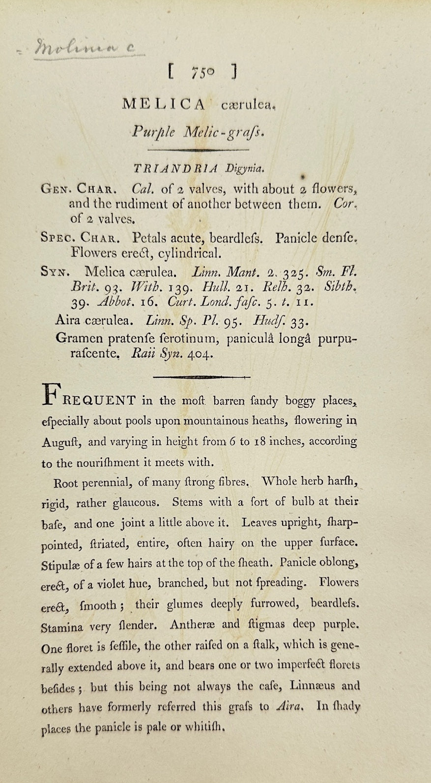 Antique Botanical Print - James Sowerby - Melica Caerulea - Blue Melic - F1