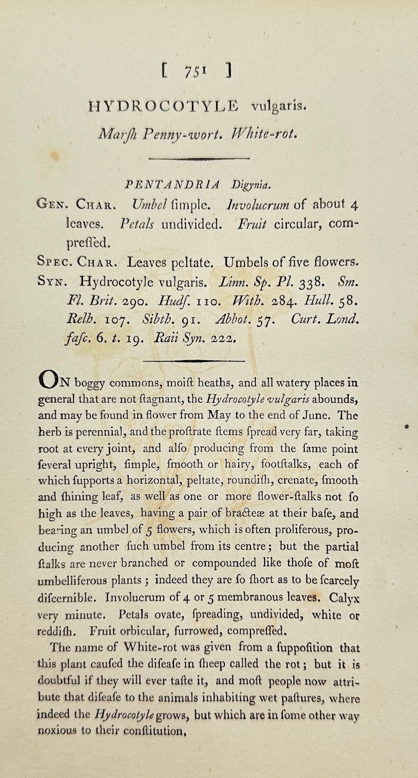 Antique Print - James Sowerby - Hydrocotyle Vulgaris - Common Pennywort - F1