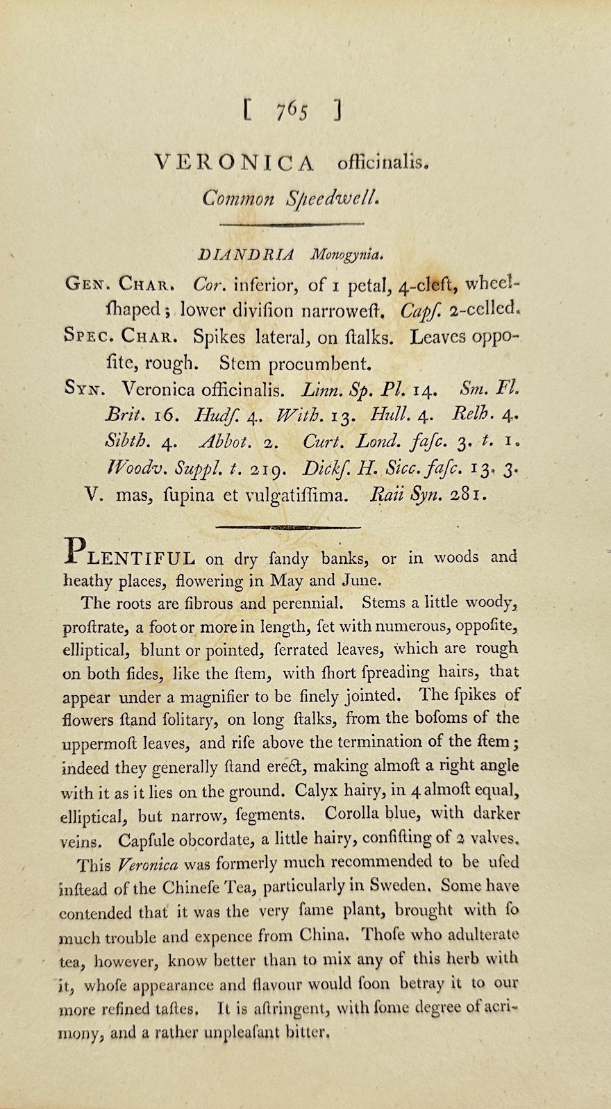 Antique Print - James Sowerby - Veronica Officinalis - Heath Speedwell - F1