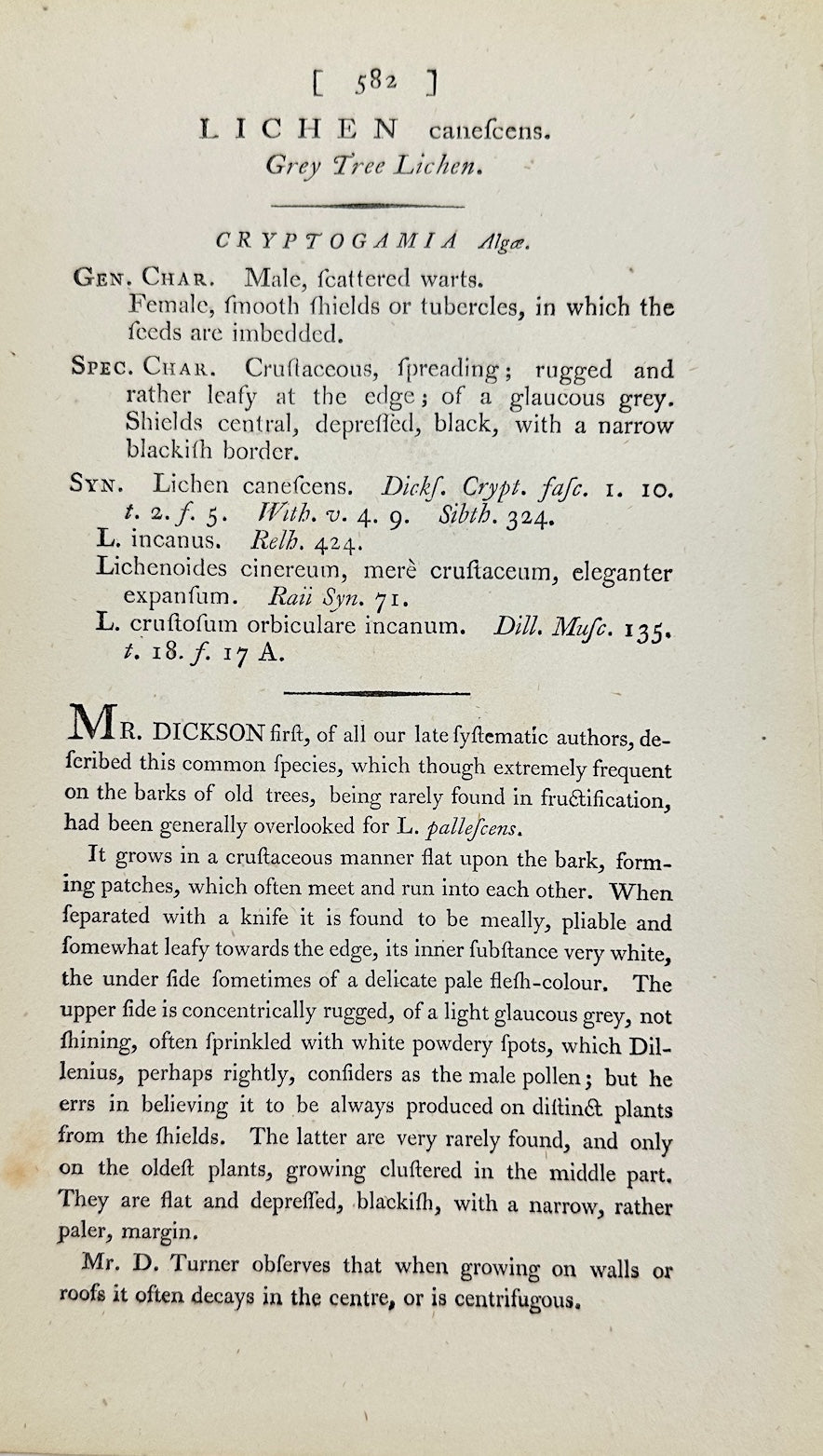 Antique Botanical Print - James Sowerby - Lichen Canescens - Gray Lichen - F1