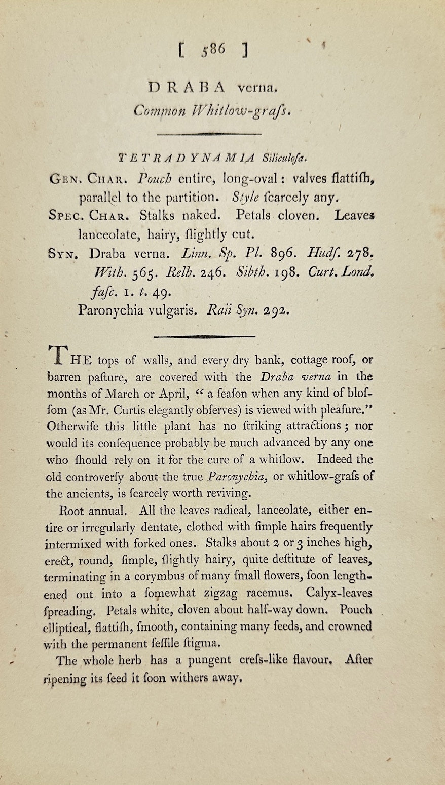 Antique Print - James Sowerby - Draba Verna - Spring Whitlow-grass - F1