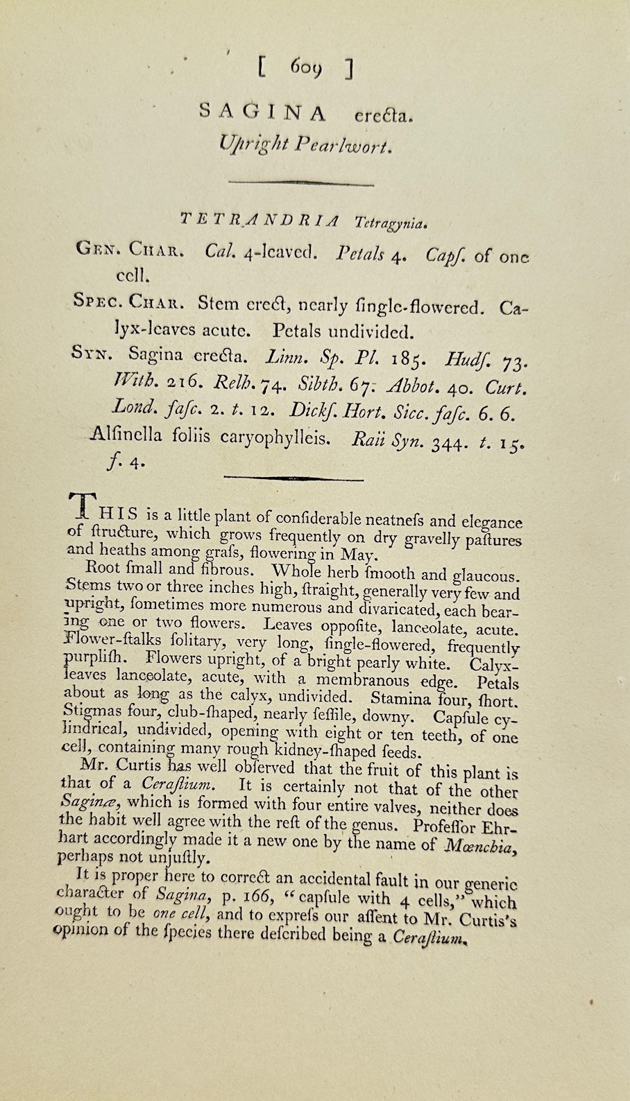 Antique Botanical Print - James Sowerby - Sagina Erecta - Upright Pearlwort - F1