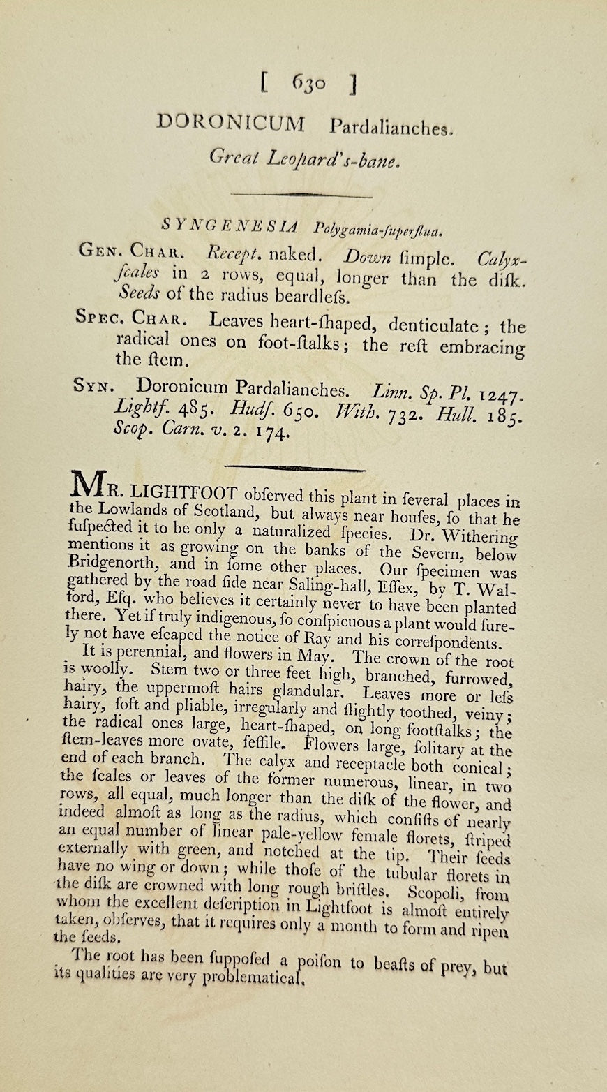 Antique Print - James Sowerby - Doronicum Pardalianches - Leopard's Bane - F1