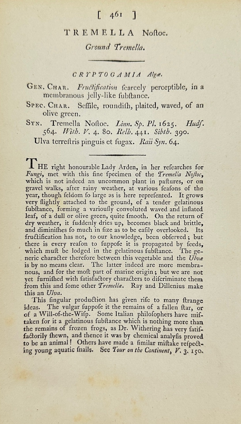 Antique Botanical Print - James Sowerby - Tremella Nostoc - Jelly Lichen - F1