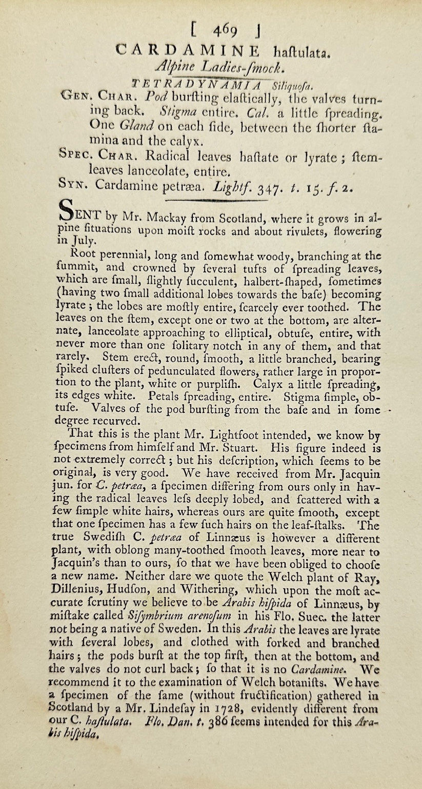 Antique Print - James Sowerby - Cardamine Hastulata - Hastate Bittercress - F1