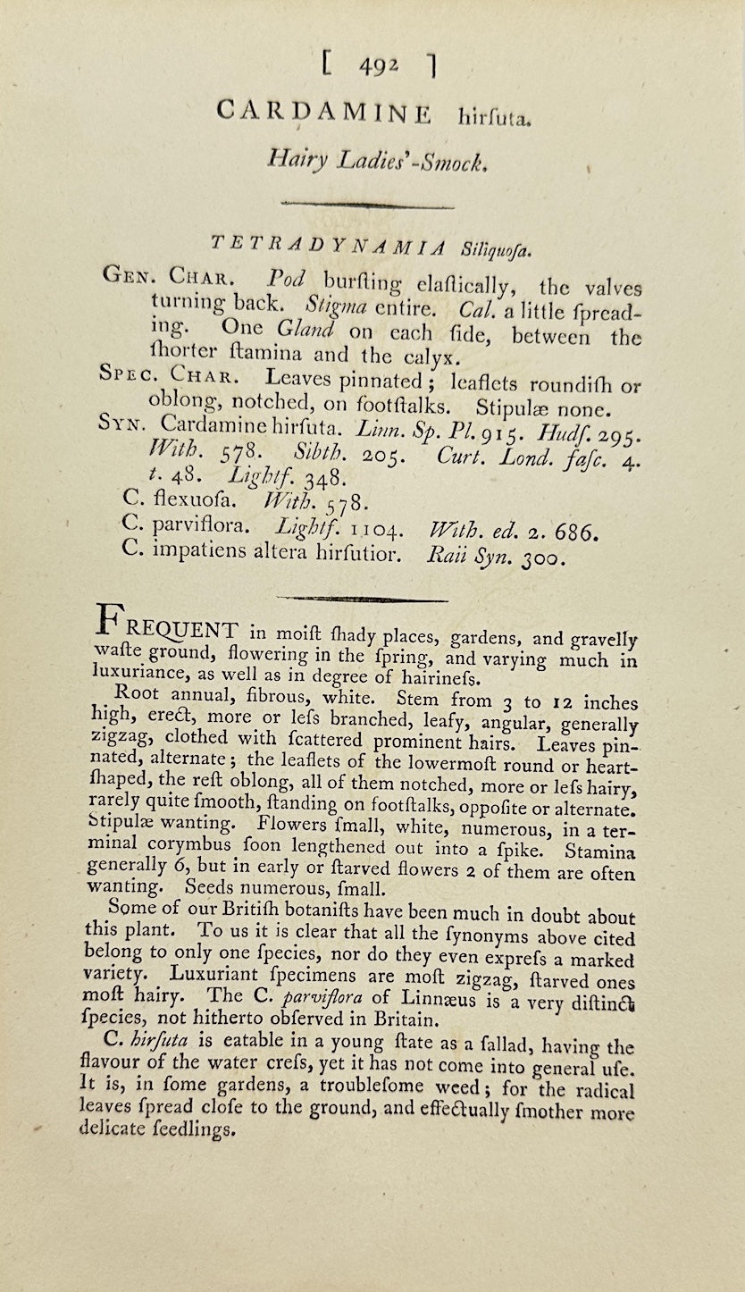 Antique Print - James Sowerby - Cardamine Hirsuta - Hairy Bittercress - F1