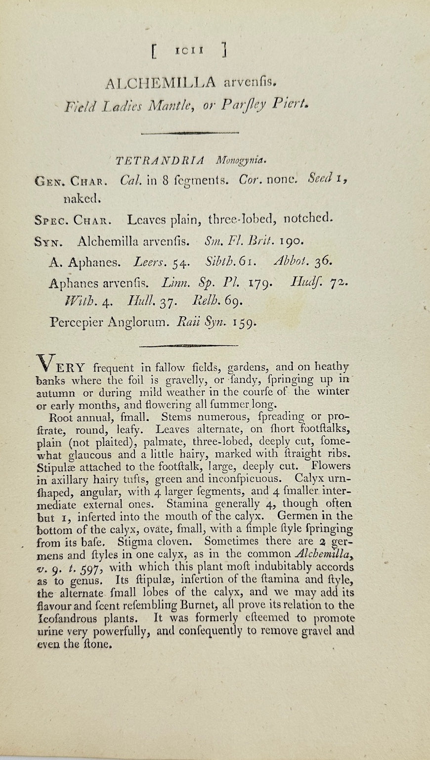 Antique Print - James Sowerby - Alchemilla Arvensis - Field Lady's Mantle - F1