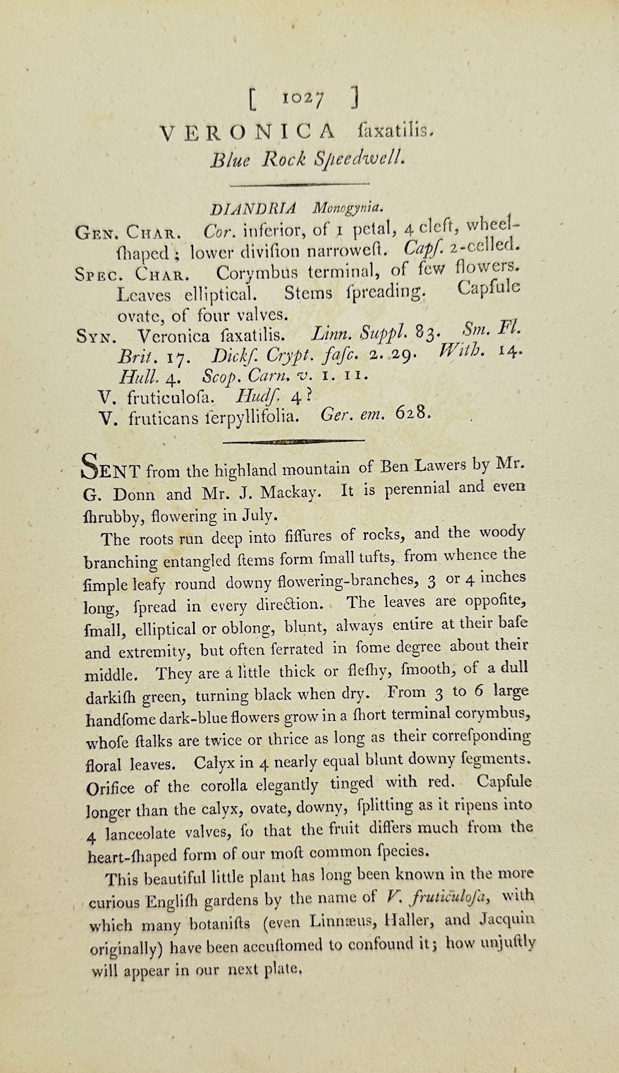 Antique Print - James Sowerby - Veronica Faxatilis - Blue Rock Speedwell - F1