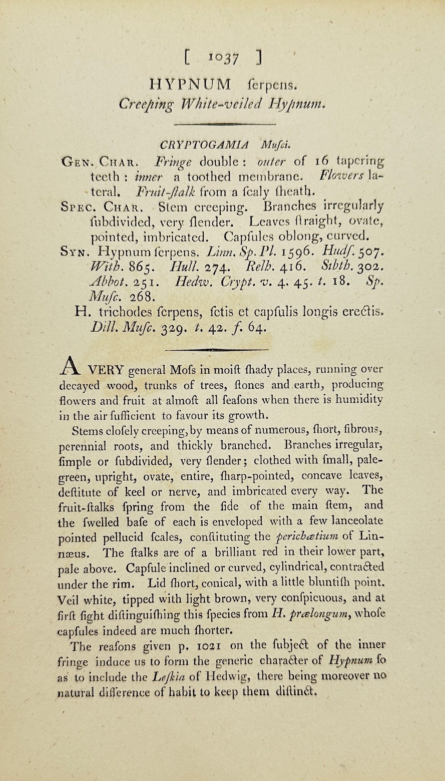 Antique Print - James Sowerby - Hypnum Serpens - Creeping Feather Moss - F1