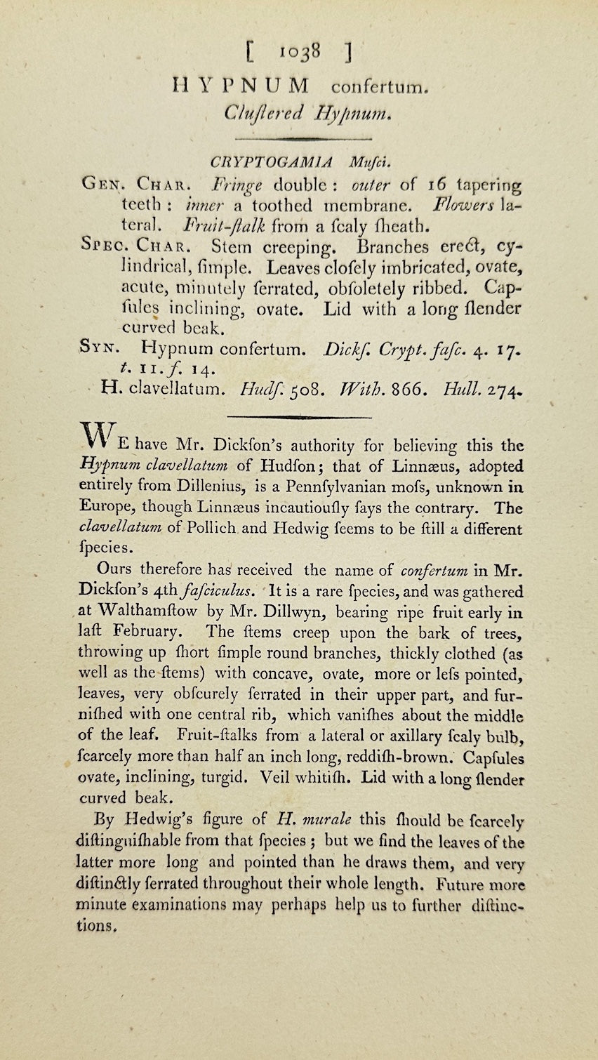 Antique Print - James Sowerby - Hypnum Confertum - Cluflered Hypnum - F1