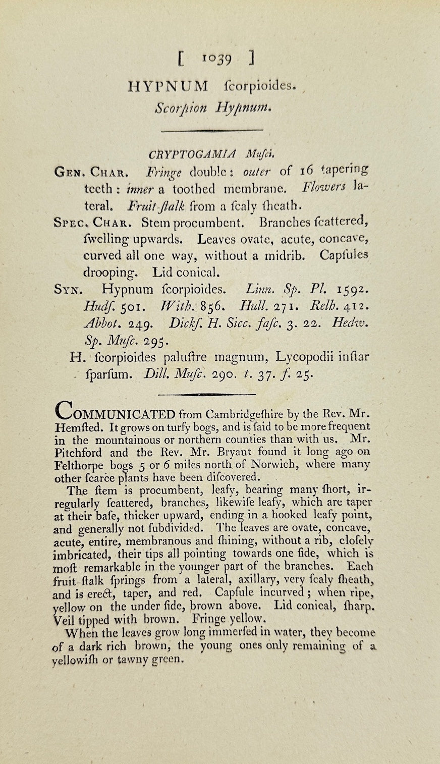 Antique Print - James Sowerby - Hypnum Fcorpioides - Scorpion Hypnum - F1