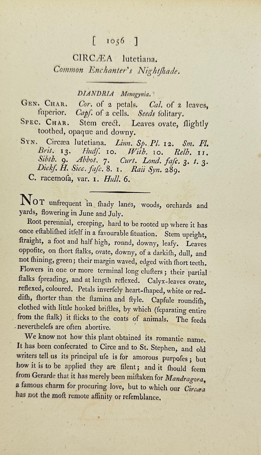 Antique Print - James Sowerby - Circaea Lutetiana - Enchanter's Nightshade - F1