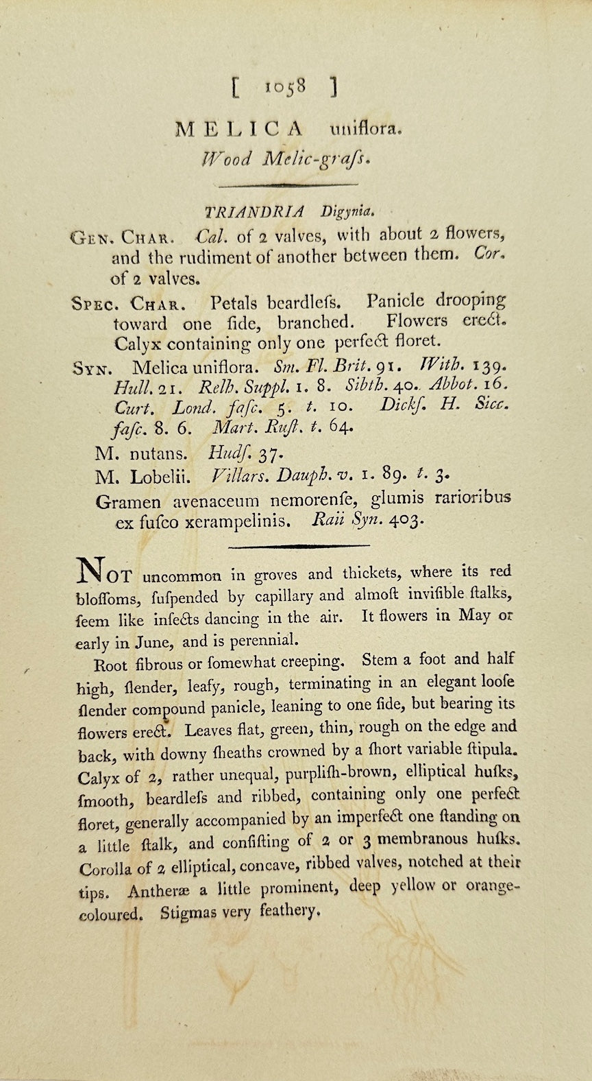 Antique Print - James Sowerby - Melica Uniflora - Wood Melic-grass - F1