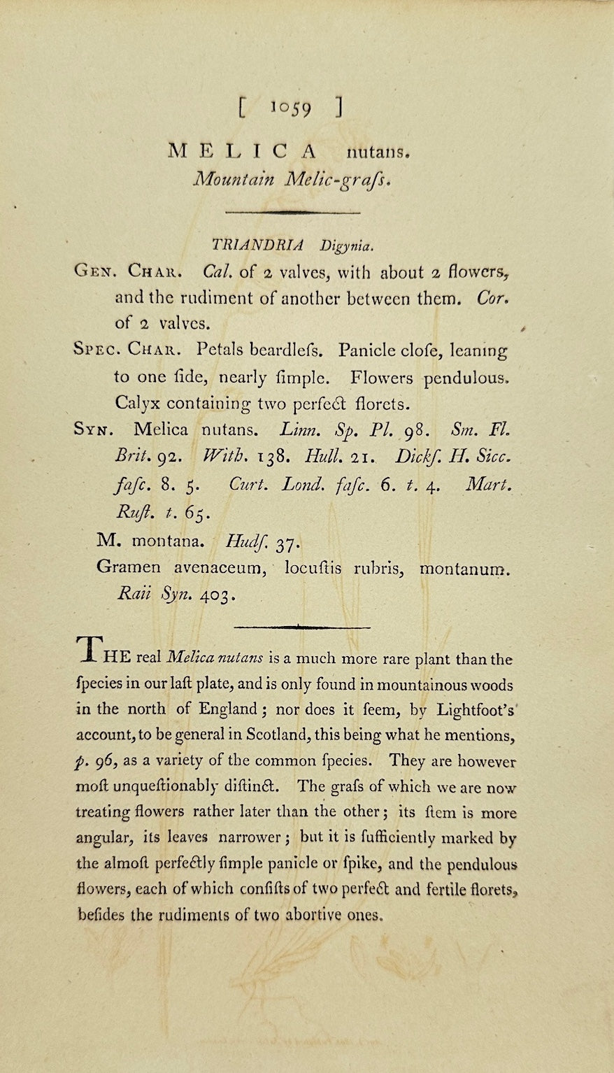 Antique Print - James Sowerby - Melica Nutans - Mountain Melic-grafs - F1