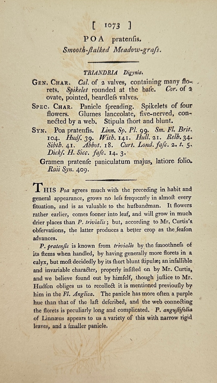 Antique Print - James Sowerby - Poa Pratenfis - Smooth-ftalked Meadow-grafs - F1